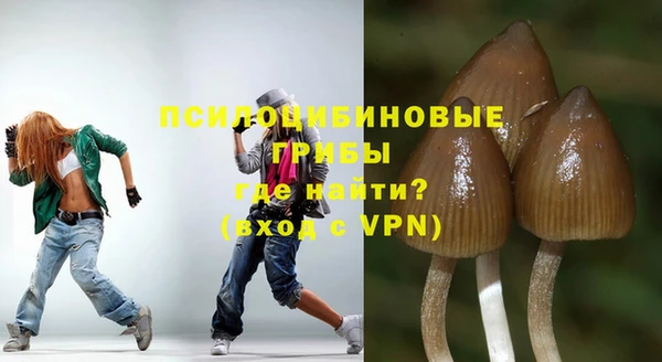 гашик Гусь-Хрустальный
