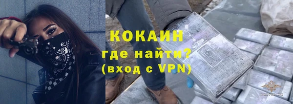 гашик Гусь-Хрустальный