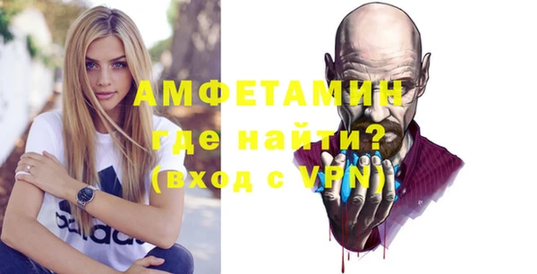 гашик Гусь-Хрустальный
