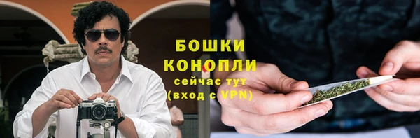 гашик Гусь-Хрустальный