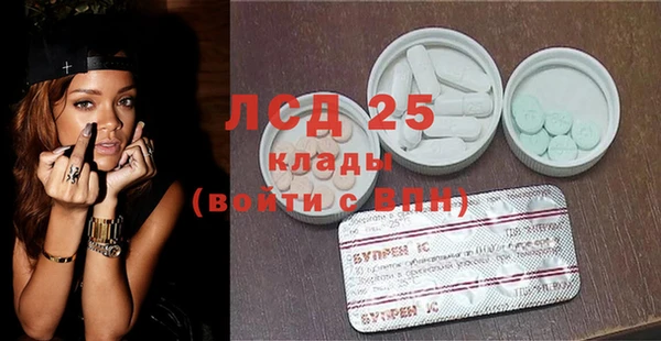 гашик Гусь-Хрустальный