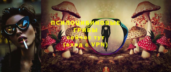 гашик Гусь-Хрустальный